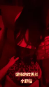 爆操豹纹黑丝小野猫，黑龙江地区收性瘾母狗和女大学生