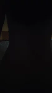 音院母狗