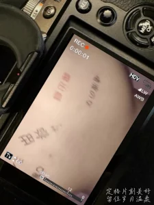 骚母狗
